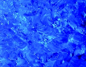 Sans titre - huile sur bois - 110 x 80 cm - 2007